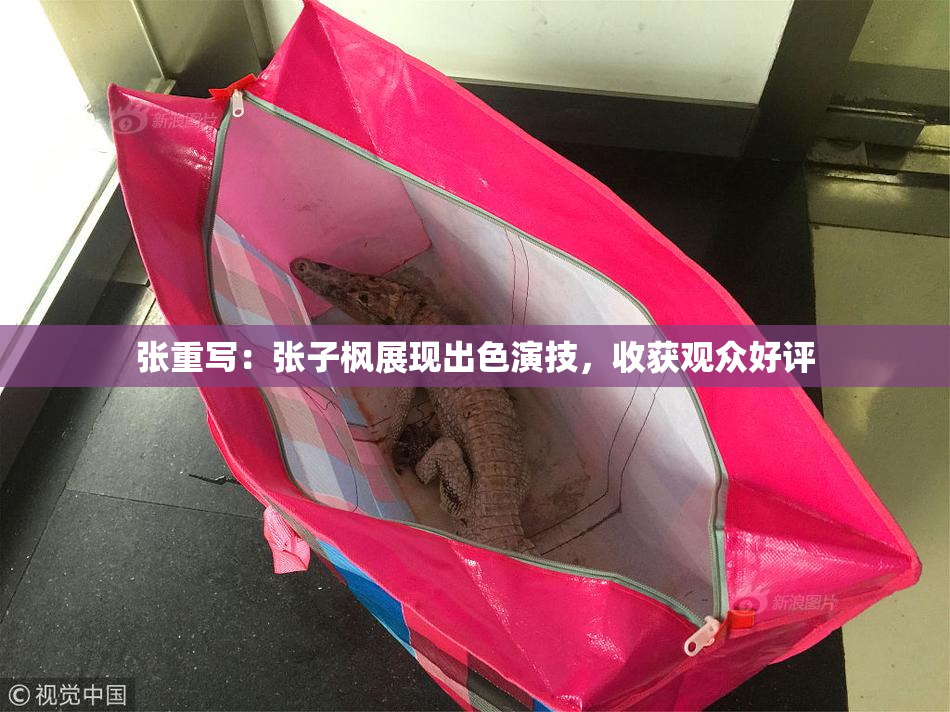 张重写：张子枫展现出色演技，收获观众好评