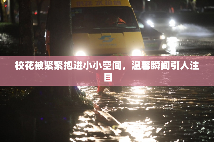 校花被紧紧抱进小小空间，温馨瞬间引人注目