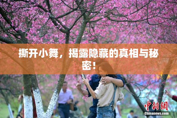 撕开小舞，揭露隐藏的真相与秘密！