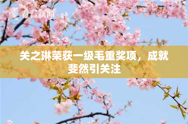 关之琳荣获一级毛重奖项，成就斐然引关注