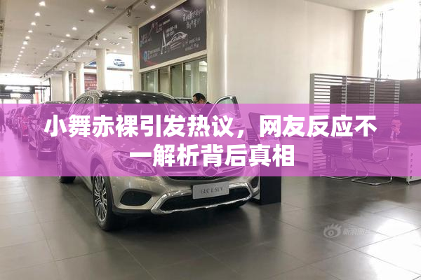 小舞赤裸引发热议，网友反应不一解析背后真相