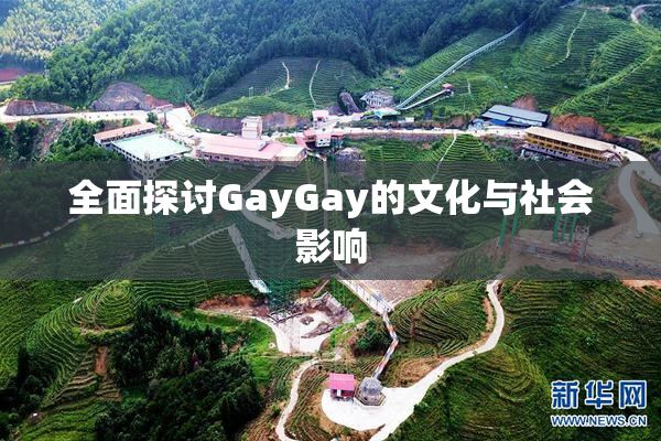 全面探讨GayGay的文化与社会影响