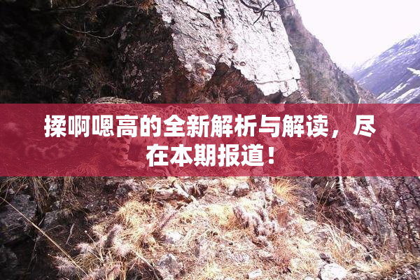 揉啊嗯高的全新解析与解读，尽在本期报道！