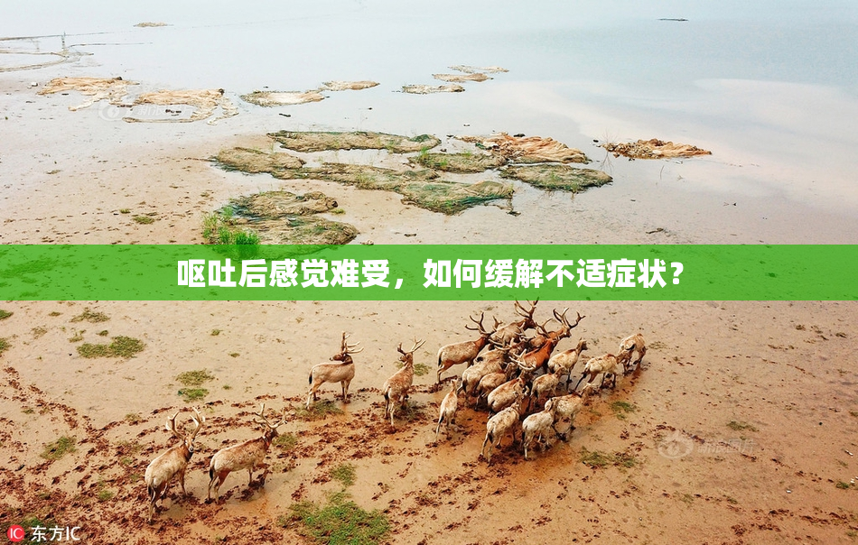 呕吐后感觉难受，如何缓解不适症状？
