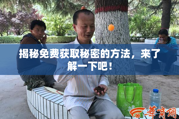 揭秘免费获取秘密的方法，来了解一下吧！