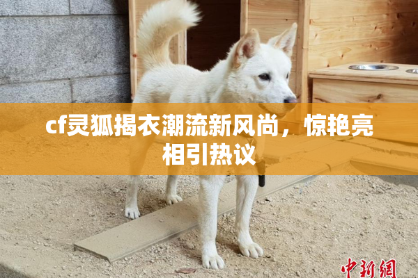 cf灵狐揭衣潮流新风尚，惊艳亮相引热议