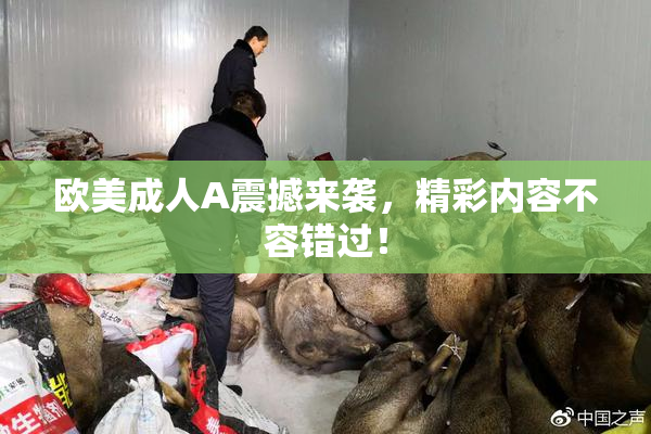 欧美成人A震撼来袭，精彩内容不容错过！