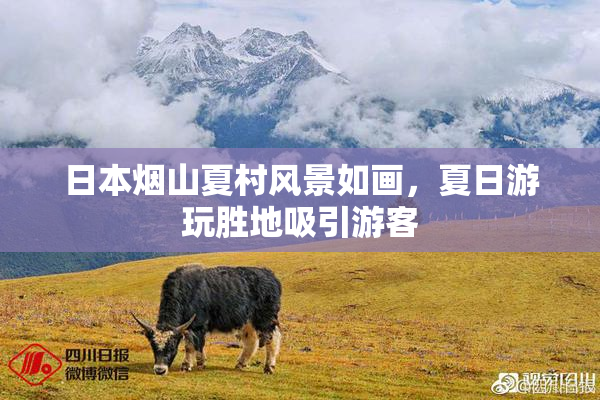 日本烟山夏村风景如画，夏日游玩胜地吸引游客