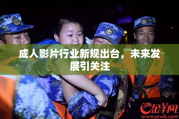 成人影片行业新规出台，未来发展引关注