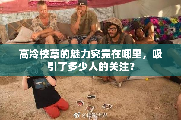 高冷校草的魅力究竟在哪里，吸引了多少人的关注？