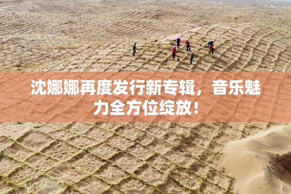 沈娜娜再度发行新专辑，音乐魅力全方位绽放！