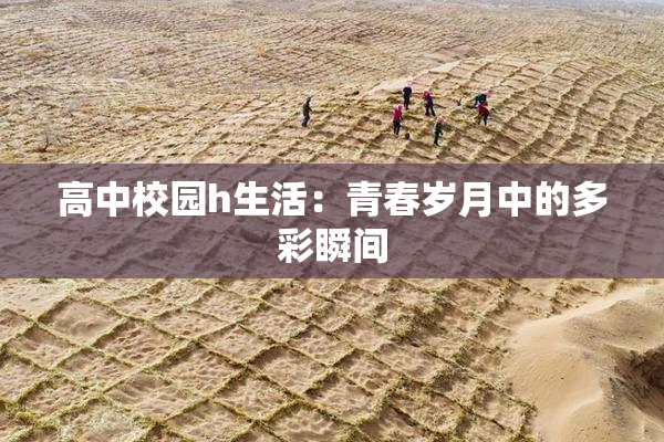 高中校园h生活：青春岁月中的多彩瞬间