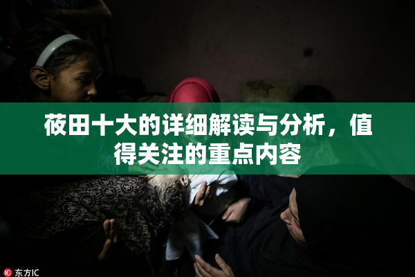 莜田十大的详细解读与分析，值得关注的重点内容