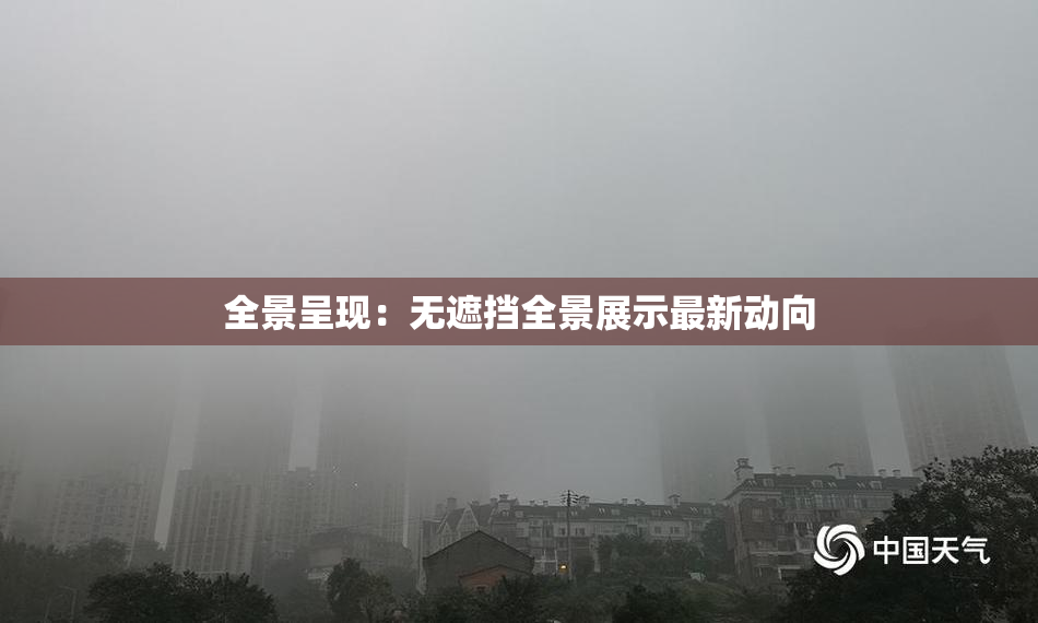 全景呈现：无遮挡全景展示最新动向