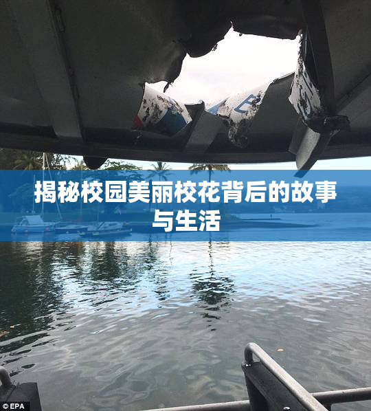 揭秘校园美丽校花背后的故事与生活
