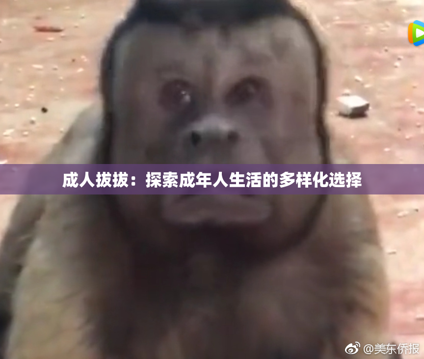 成人拔拔：探索成年人生活的多样化选择