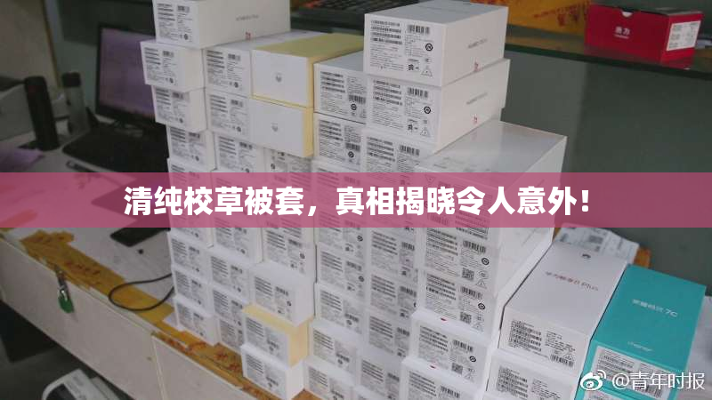 清纯校草被套，真相揭晓令人意外！