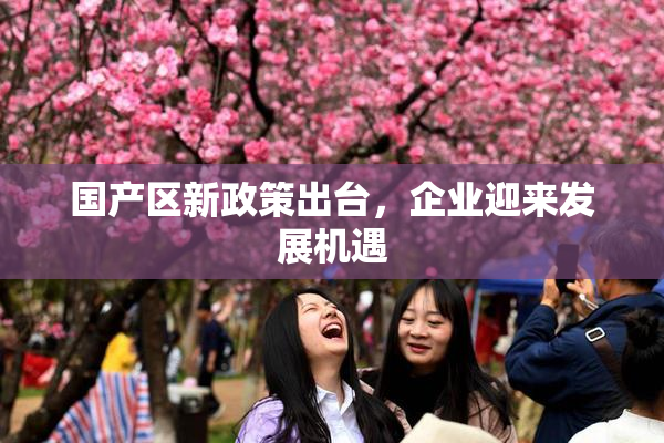 国产区新政策出台，企业迎来发展机遇