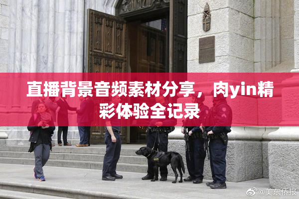 直播背景音频素材分享，肉yin精彩体验全记录