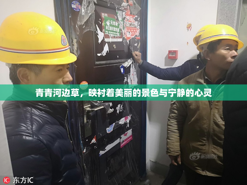 青青河边草，映衬着美丽的景色与宁静的心灵