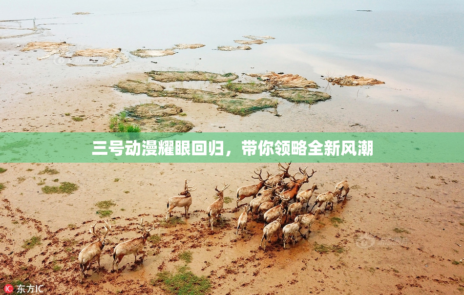 三号动漫耀眼回归，带你领略全新风潮