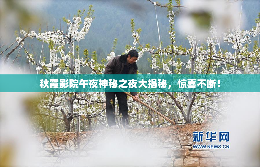 秋霞影院午夜神秘之夜大揭秘，惊喜不断！