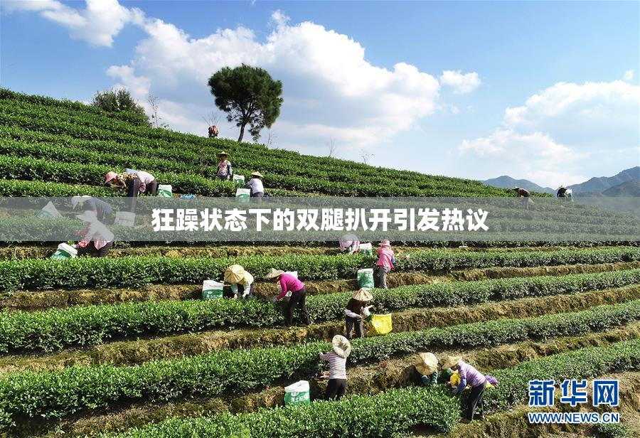 狂躁状态下的双腿扒开引发热议