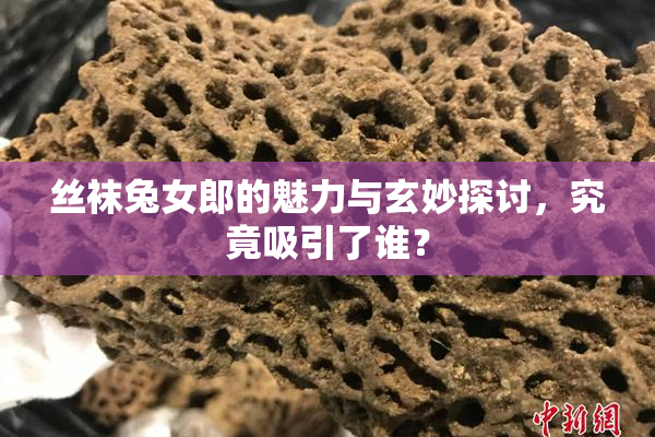 丝袜兔女郎的魅力与玄妙探讨，究竟吸引了谁？