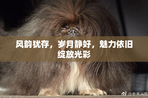 风韵犹存，岁月静好，魅力依旧绽放光彩