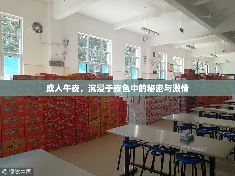 成人午夜，沉浸于夜色中的秘密与激情