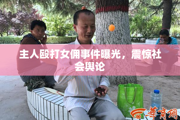 主人殴打女佣事件曝光，震惊社会舆论