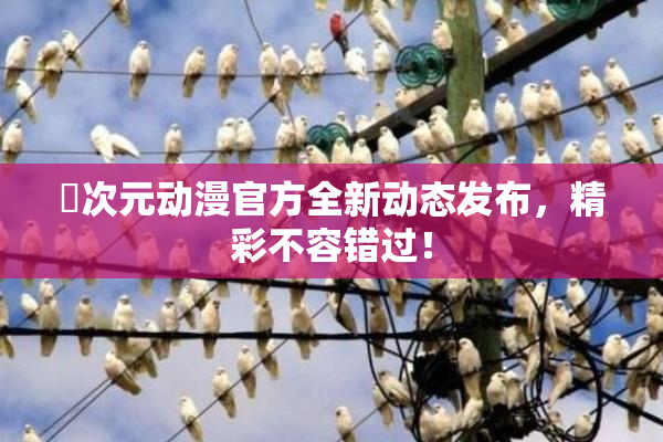 囧次元动漫官方全新动态发布，精彩不容错过！
