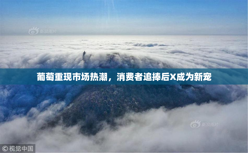 葡萄重现市场热潮，消费者追捧后X成为新宠