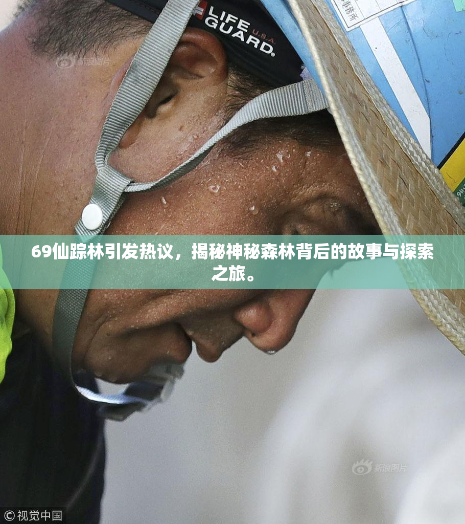 69仙踪林引发热议，揭秘神秘森林背后的故事与探索之旅。