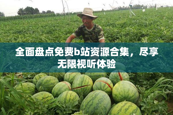 全面盘点免费b站资源合集，尽享无限视听体验