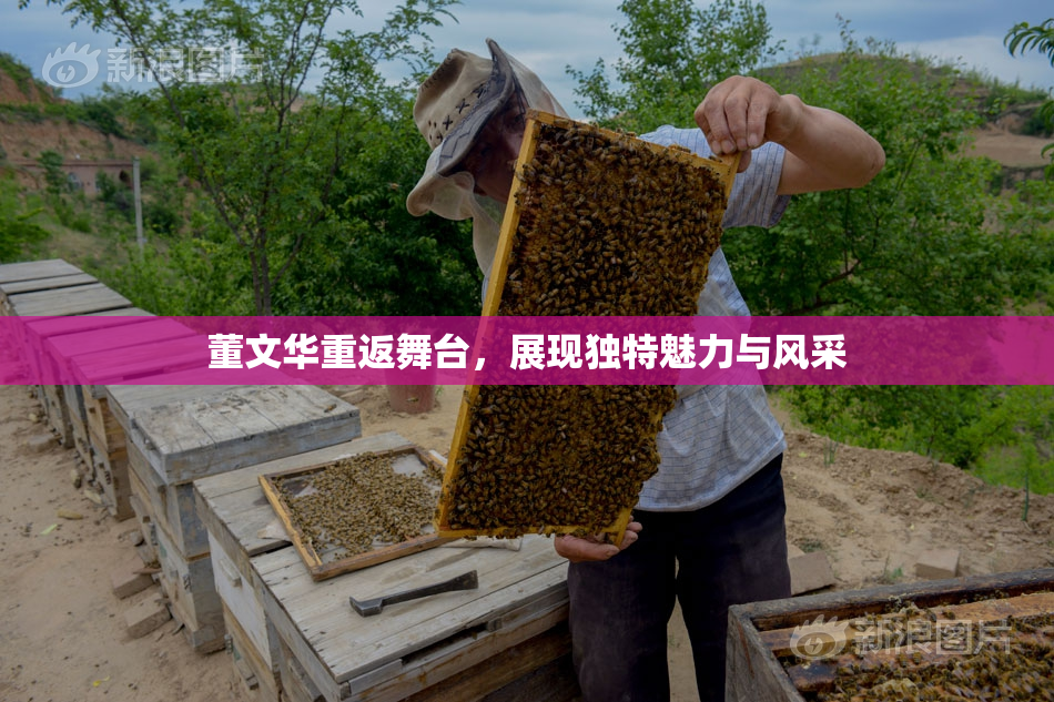 董文华重返舞台，展现独特魅力与风采
