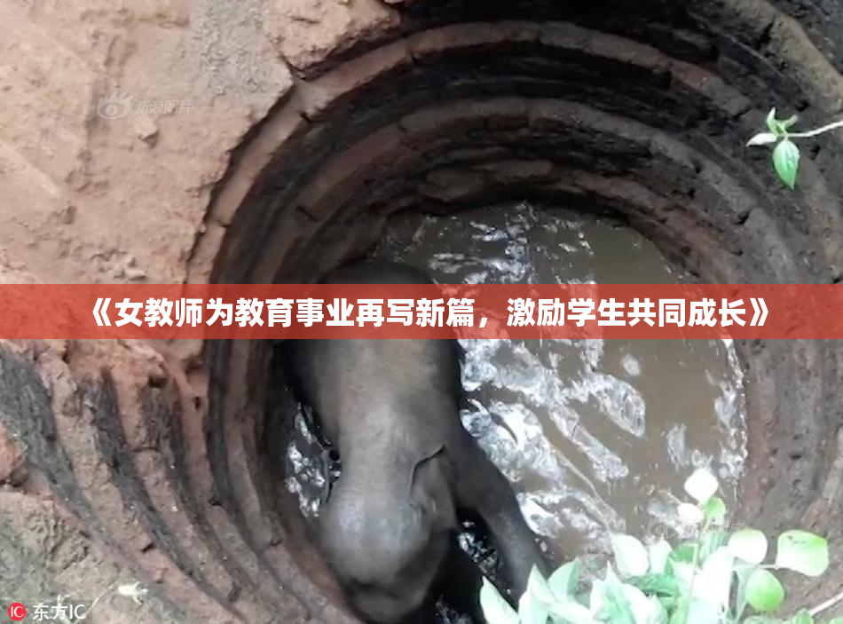 《女教师为教育事业再写新篇，激励学生共同成长》