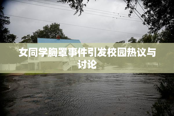 女同学胸罩事件引发校园热议与讨论