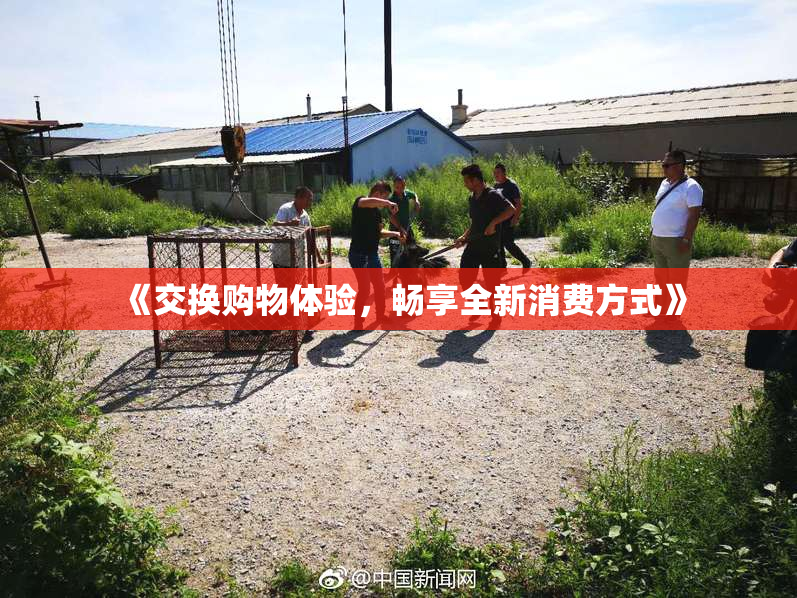 《交换购物体验，畅享全新消费方式》