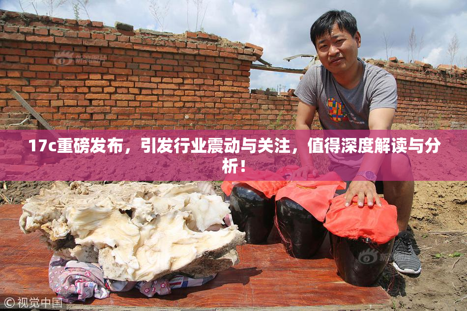 17c重磅发布，引发行业震动与关注，值得深度解读与分析！