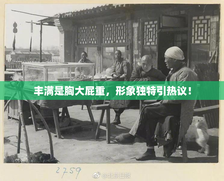 丰满是胸大屁重，形象独特引热议！