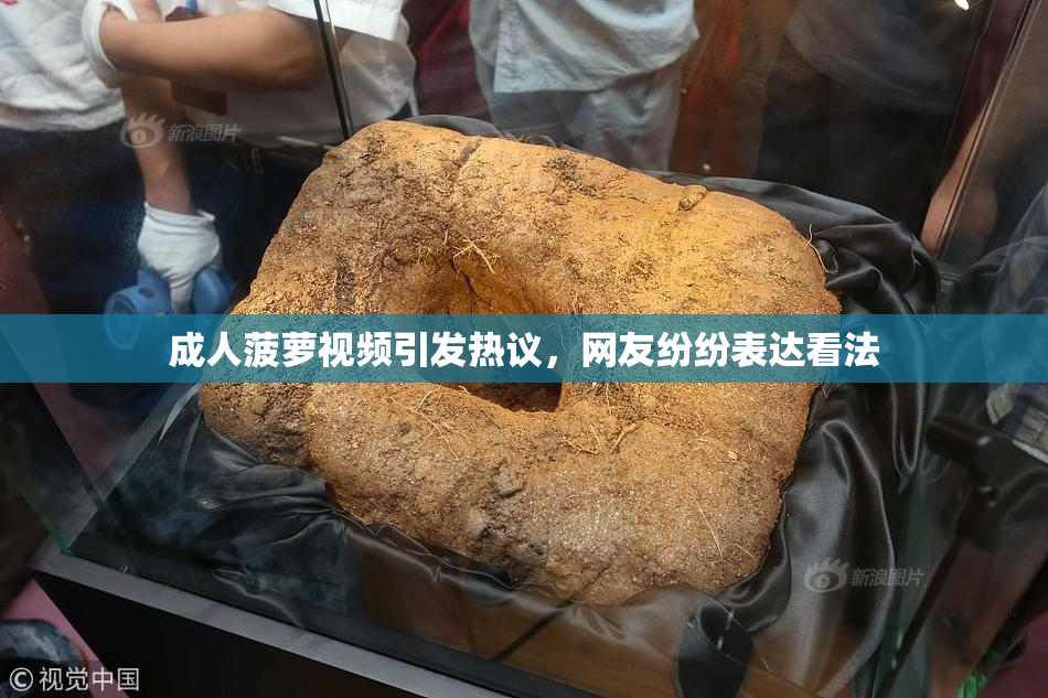 成人菠萝视频引发热议，网友纷纷表达看法
