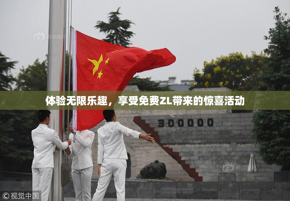 体验无限乐趣，享受免费ZL带来的惊喜活动