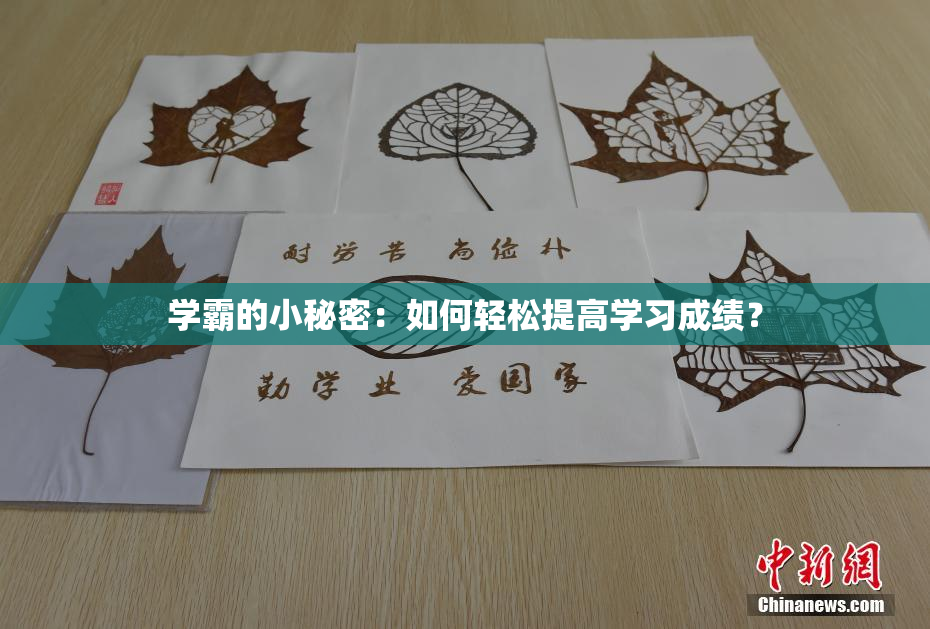 学霸的小秘密：如何轻松提高学习成绩？