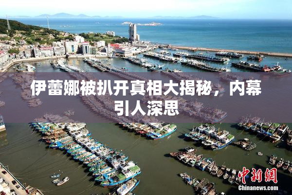 伊蕾娜被扒开真相大揭秘，内幕引人深思
