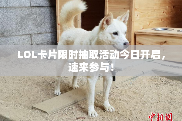 LOL卡片限时抽取活动今日开启，速来参与！
