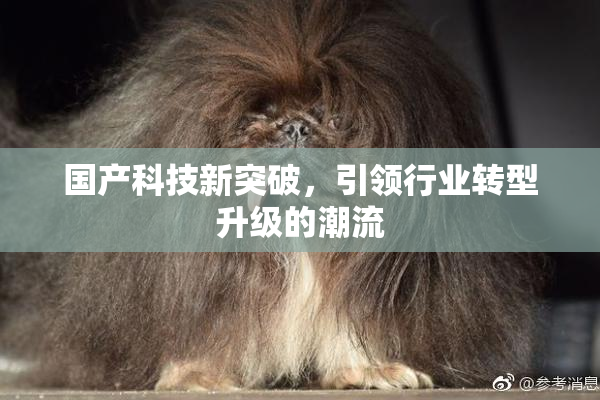国产科技新突破，引领行业转型升级的潮流