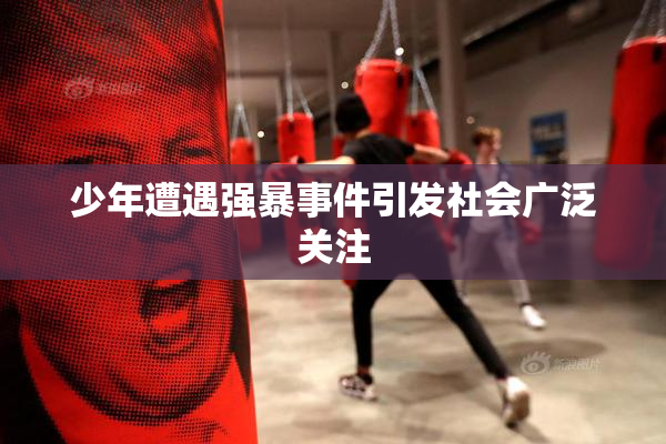 少年遭遇强暴事件引发社会广泛关注