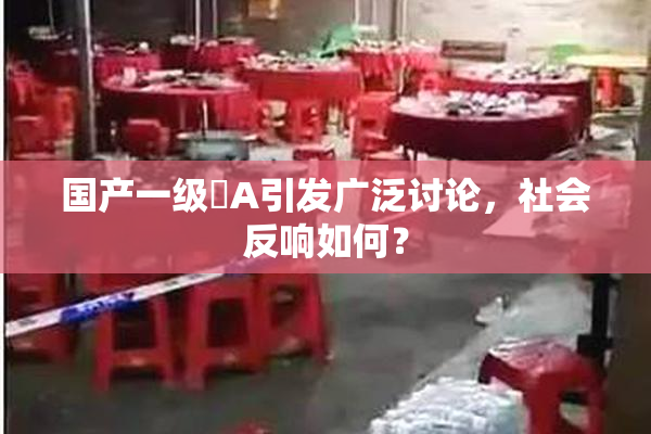 国产一级婬A引发广泛讨论，社会反响如何？