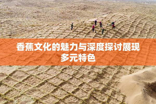 香蕉文化的魅力与深度探讨展现多元特色